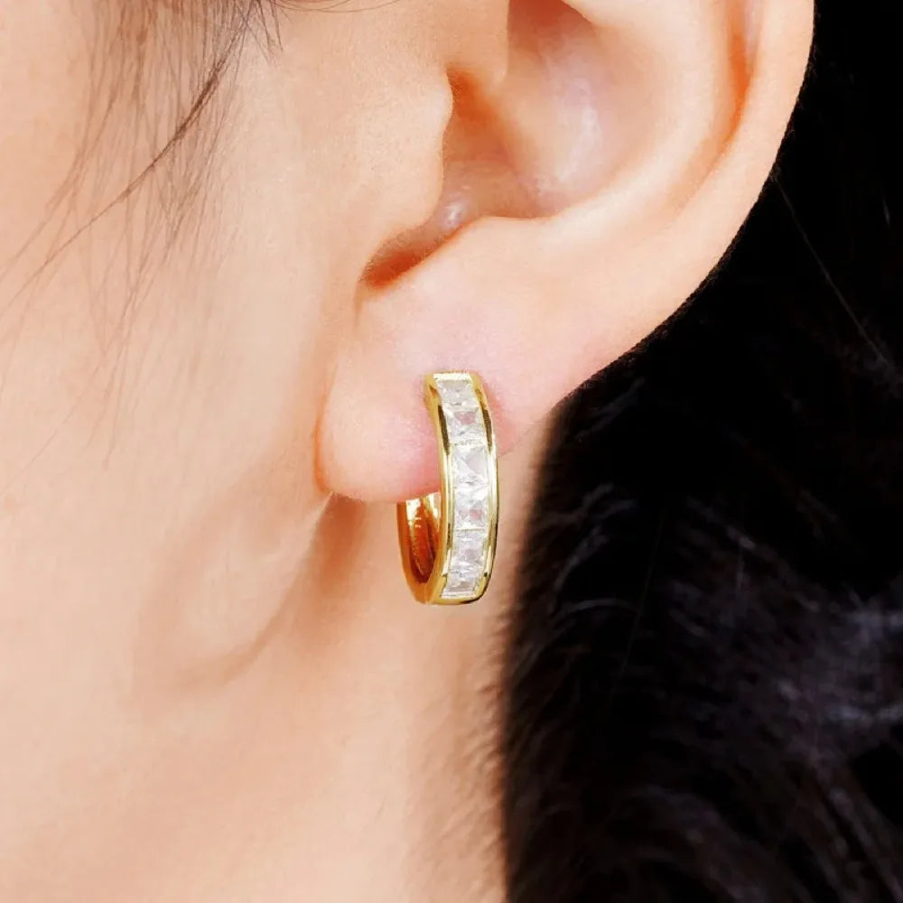 Royal Spark Hoop Earrings